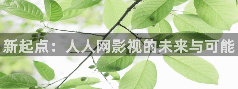 在线观看免费九九：新起点：人人网影视的未来与可能
