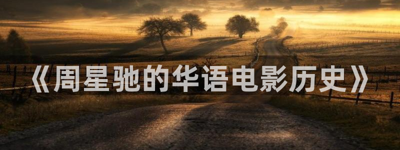 九九在线视频播放：《周星驰的华语电影历史》
