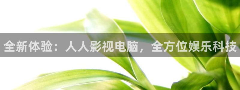 九九七视频在线观看：全新体验：人人影视电脑，全方位娱乐科技