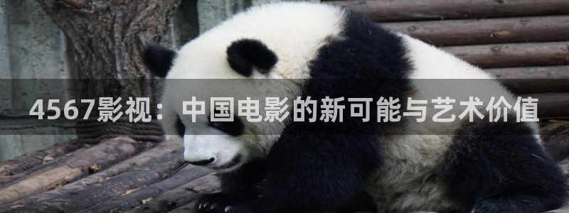 九九视频区：4567影视：中国电影的新可能与艺术价值