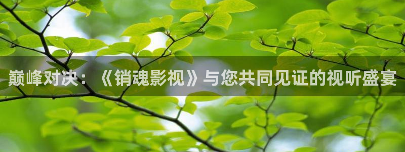 九九热精美视频：巅峰对决：《销魂影视》与您共同见证的视听盛宴