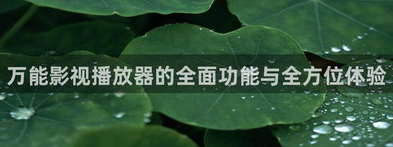 九九热播视频这在线观看：万能影视播放器的全面功能与全方位体验