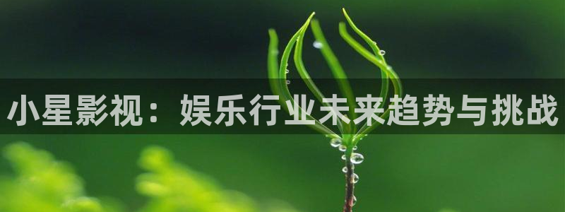九九影院免费观看电视剧最新章节更：小星影视：娱乐行业未来趋势与挑战