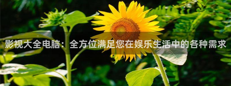 九九热视频精品视频：影视大全电脑：全方位满足您在娱乐生活中的各种需求