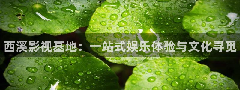 九九电影网免费观看电视剧大全最新：西溪影视基地：一站式娱乐体验与文化寻觅