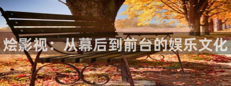 九九热这里有精品视频：烩影视：从幕后到前台的娱乐文化