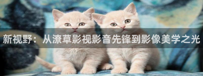 九九影院在线观看免费播放电视剧2023：新视野：从潦草影视影音先锋到影像美学之光