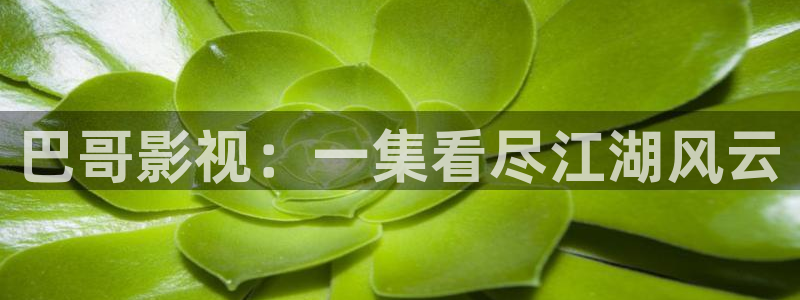 免费视频一区二区九九理论：巴哥影视：一集看尽江湖风云
