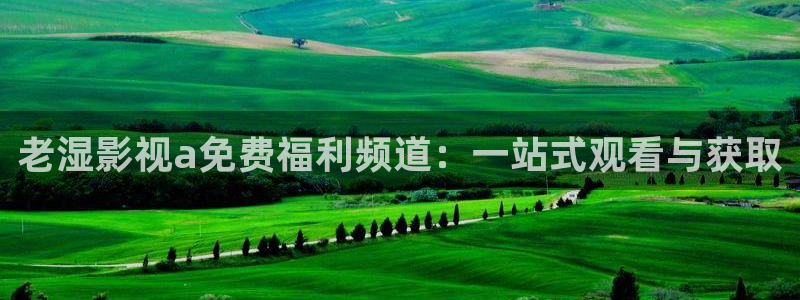 九九免费观看精品视频：老湿影视a免费福利频道：一站式观看与获取